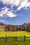 UXU Main pasture