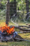 Heating up branding irons