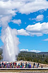 Old Faithful faithfully erupting