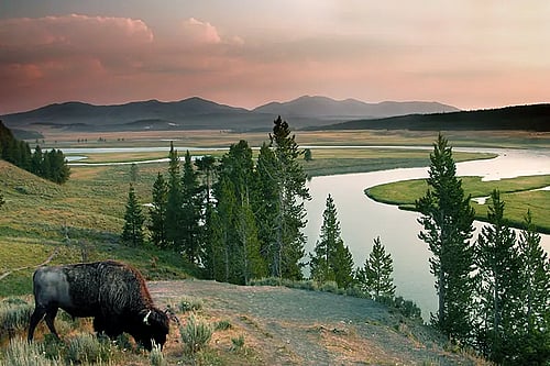 Yellowstone Concept Photo