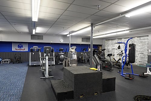 Punching bag, steps, and other workout equipment