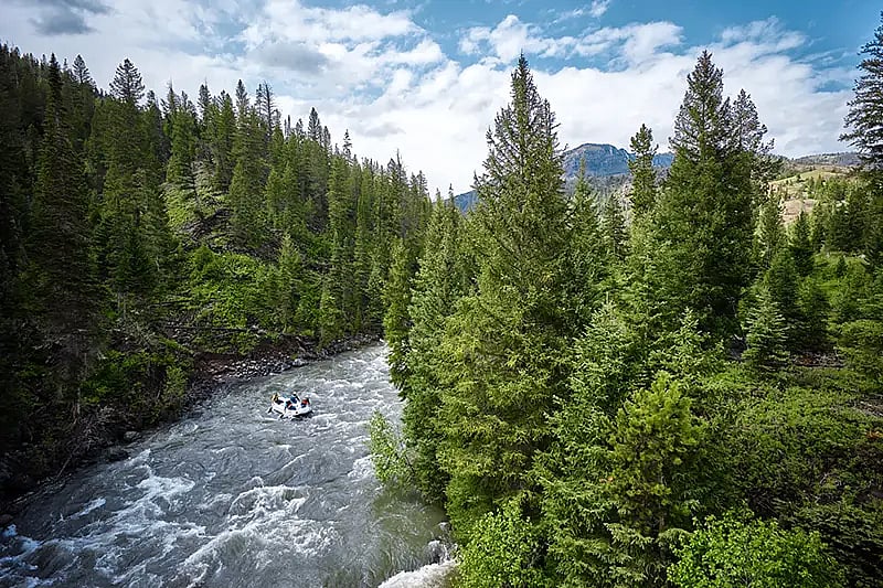 Aerial view of whitewater rafting in Cody Wyoming