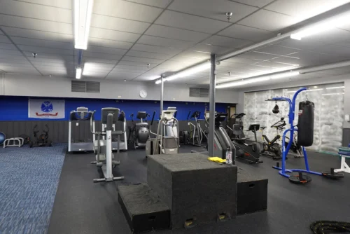 Punching bag, steps, and other workout equipment