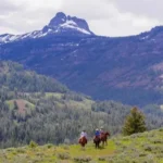 Riding horses in Yellowstone