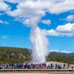 Old Faithful faithfully erupting