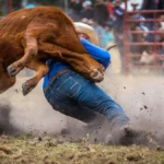 Wrangling a calf at the rodeo