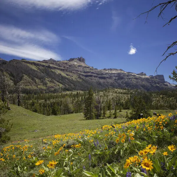 Pilot and Index peak in Crandall Wyoming